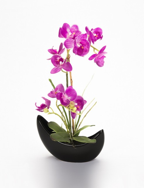 Orquídea Fucsia Grande