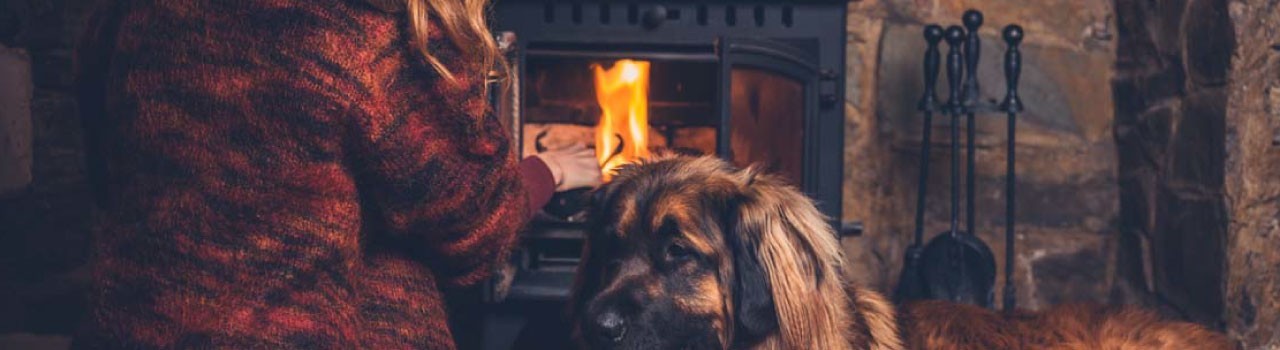 Accesorios para Chimeneas de Leña