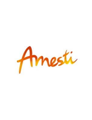 Amesti