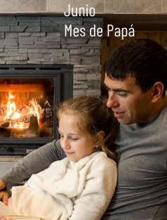 Compra Online Chimeneas de Colombia Mes de Papa